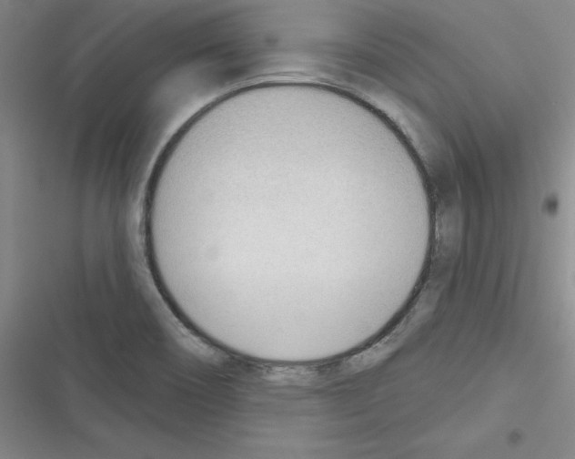 X0000116341466201001131035