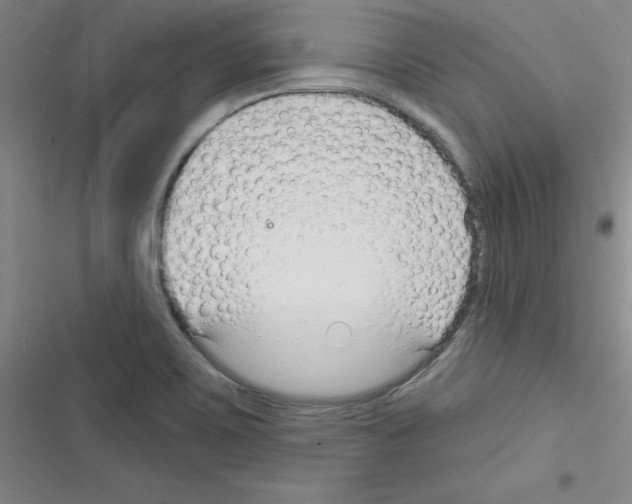 X0000116341467201001131035