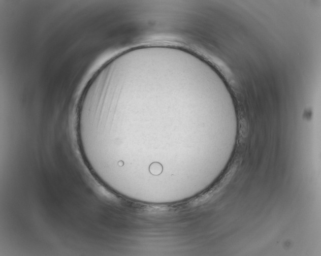 X0000116341470201001131035