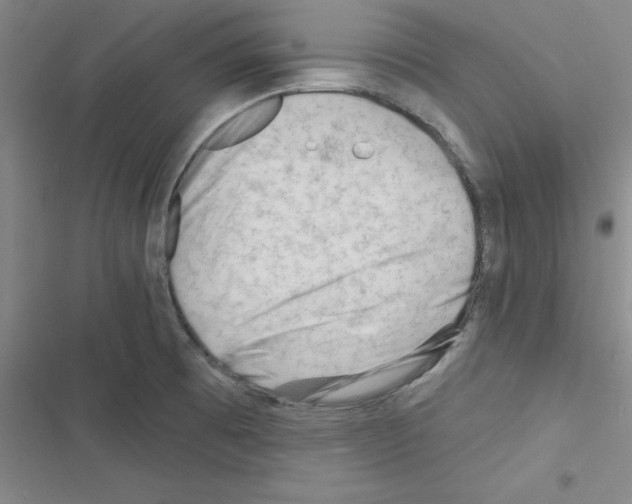 X0000116341473201001131035