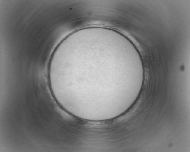 X0000116341474201001131035