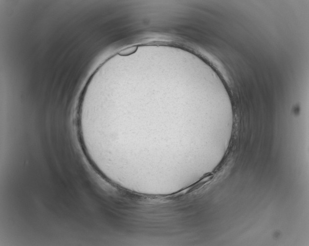 X0000116341475201001131035