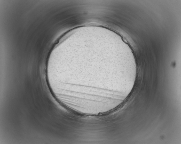 X0000116341476201001131035