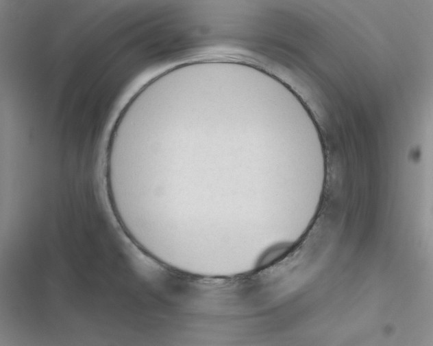 X0000116341478201001131035