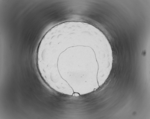 X0000116341479201001131035