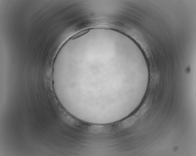 X0000116341481201001131035