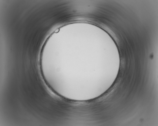 X0000116341482201001131035