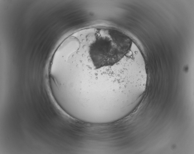 X0000116341483201001131035