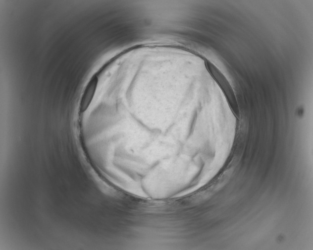 X0000116341485201001131035