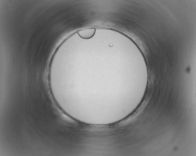 X0000116341486201001131035