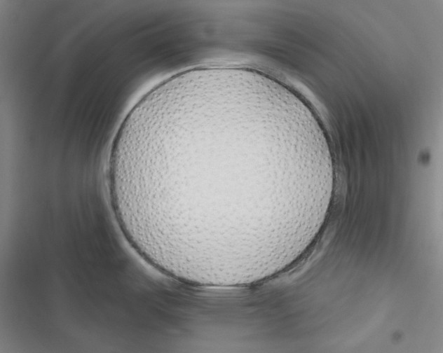 X0000116341487201001131035