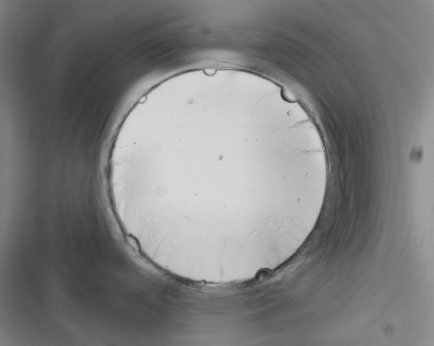 X0000116341488201001131035