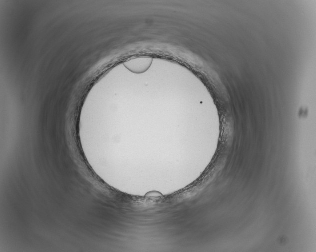 X0000116341489201001131034