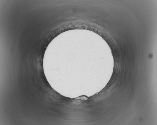 X0000116341490201001131034