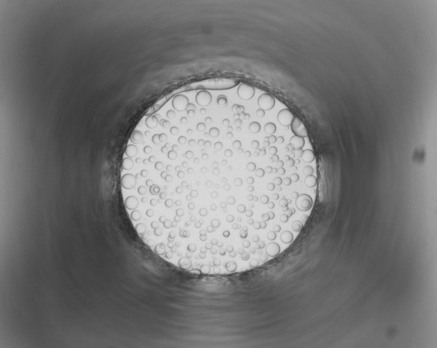 X0000116341491201001131034