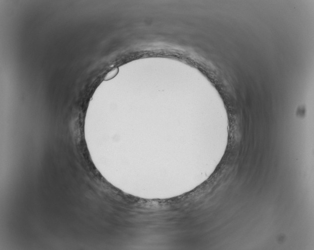 X0000116341493201001131034