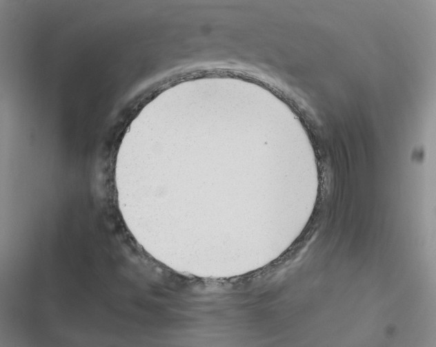 X0000116341494201001131034