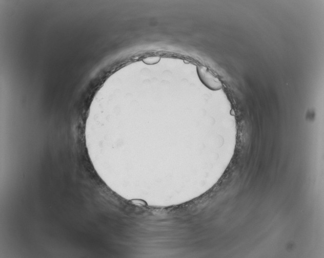 X0000116341495201001131034