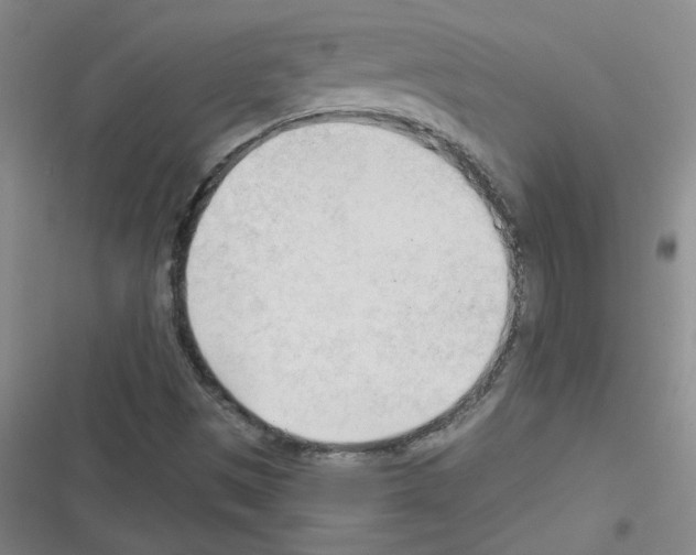 X0000116341497201001131034