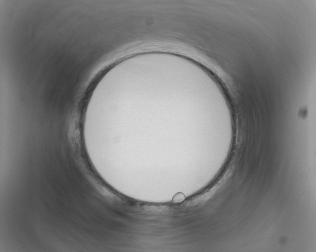 X0000116341498201001131034