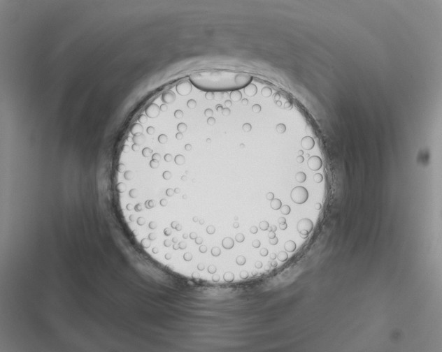 X0000116341499201001131034