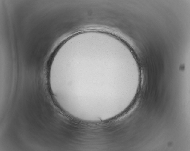 X0000116341501201001131034