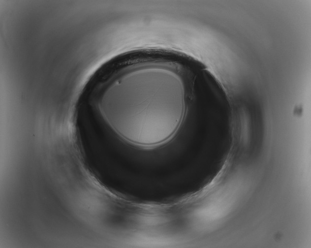 X0000116341502201001131034