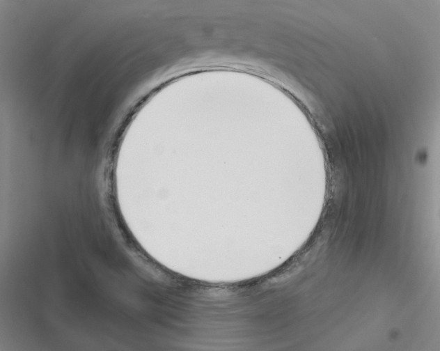 X0000116341507201001131034