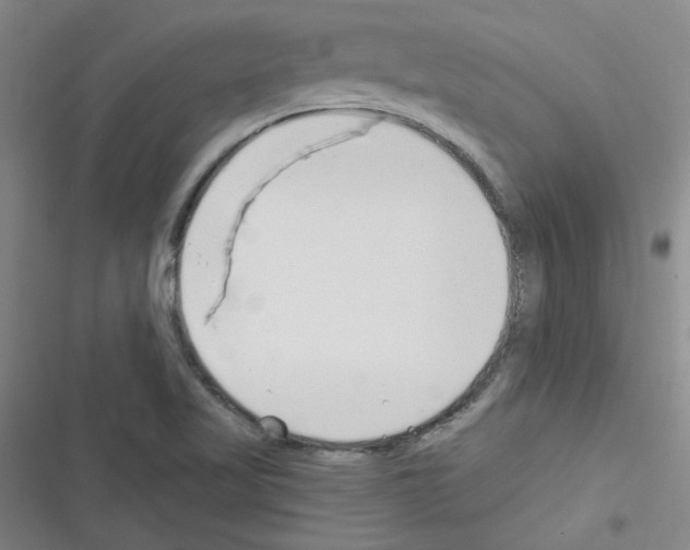 X0000116341509201001131034