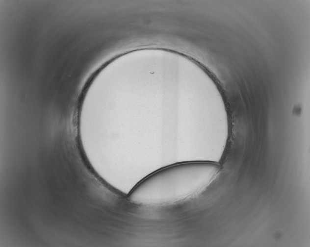 X0000116341510201001131034