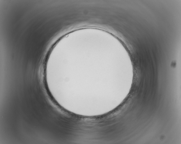 X0000116341511201001131034