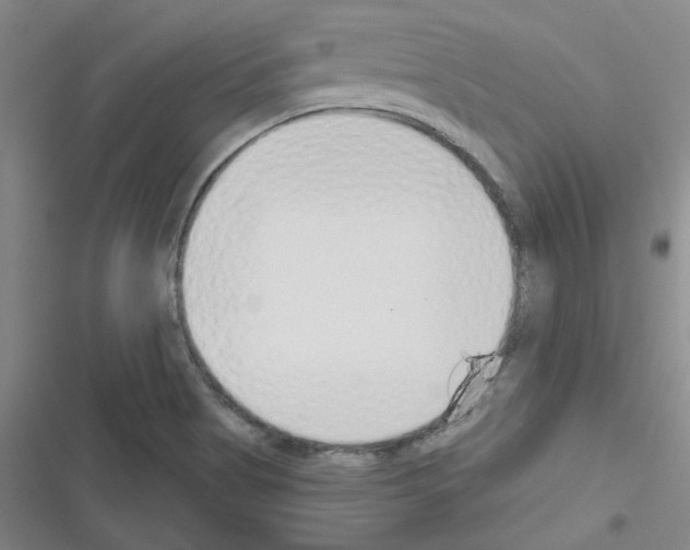 X0000116341513201001131034