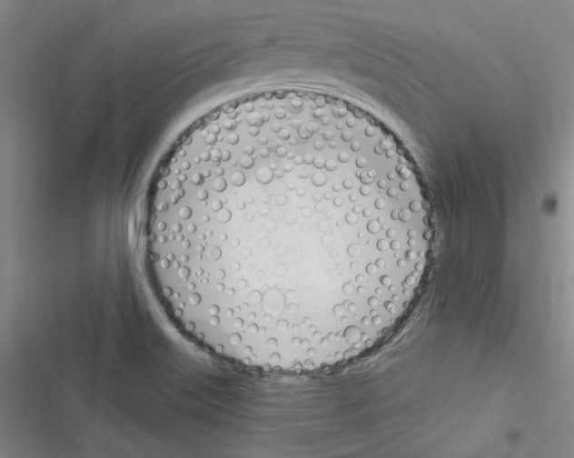 X0000116341515201001131034