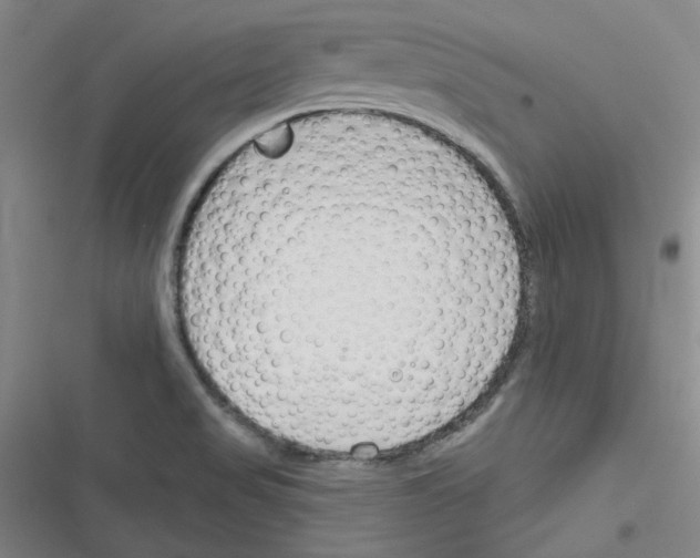 X0000116341517201001131034