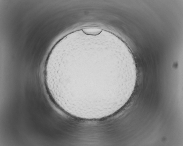 X0000116341519201001131034