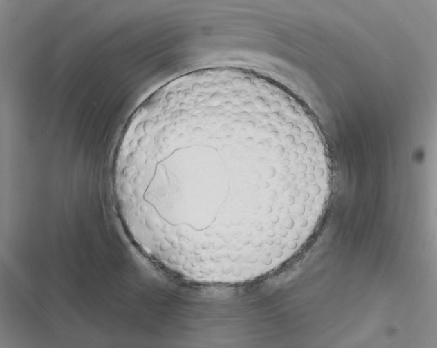 X0000116341521201001131034