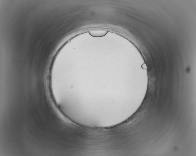 X0000116341523201001131034