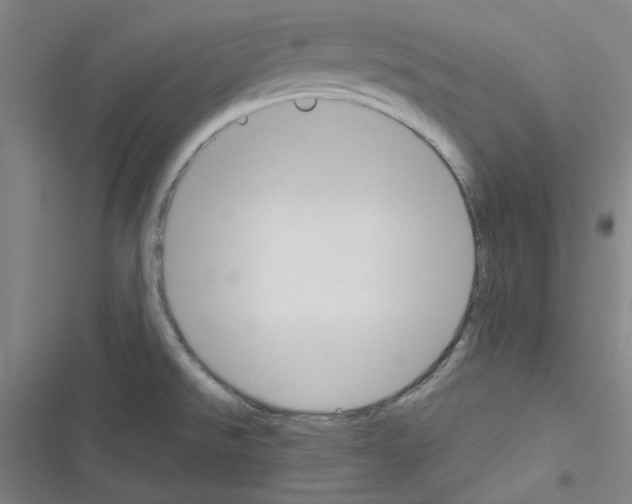 X0000116341526201001131035