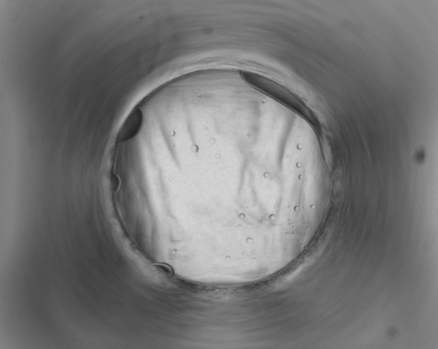 X0000116341530201001131035