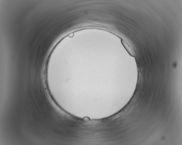 X0000116341531201001131035