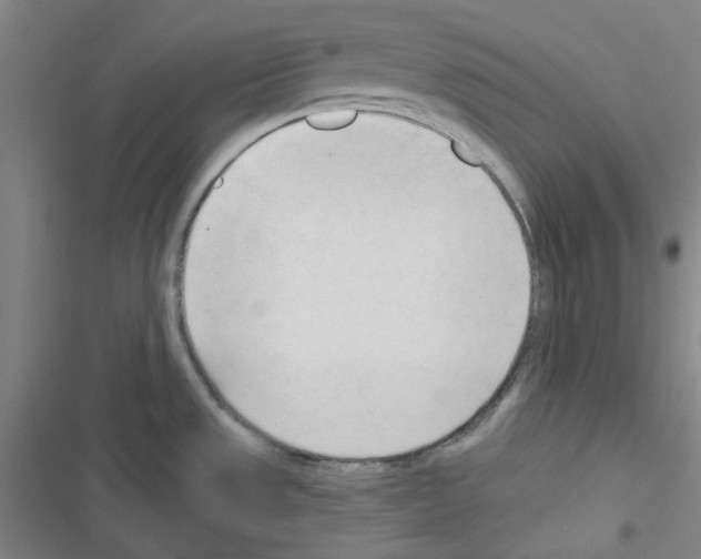 X0000116341533201001131035