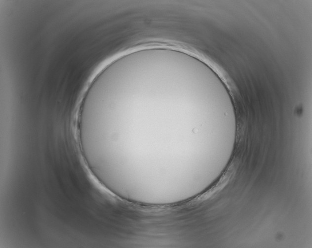 X0000116341535201001131035