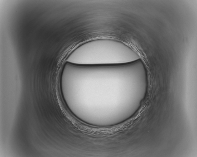 X0000116350001200912011047