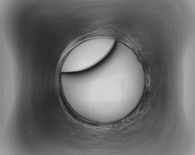 X0000116350004200912011047