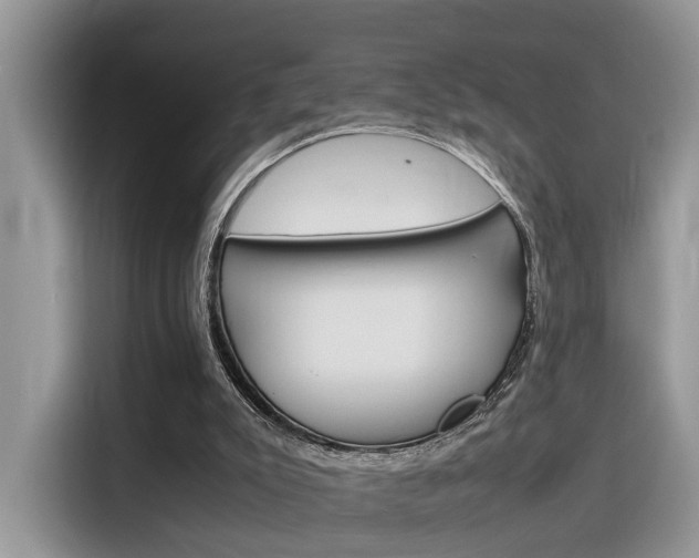 X0000116350007200912011047