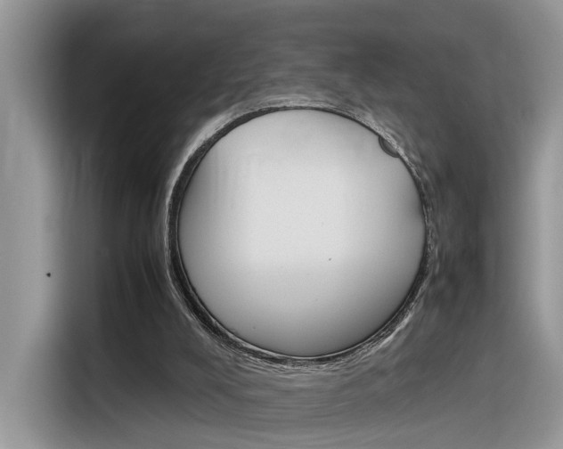 X0000116350008200912011047