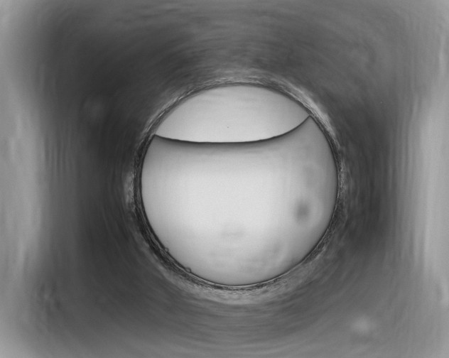 X0000116350010200912011047