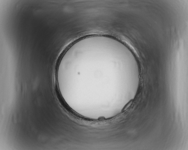 X0000116350011200912011047