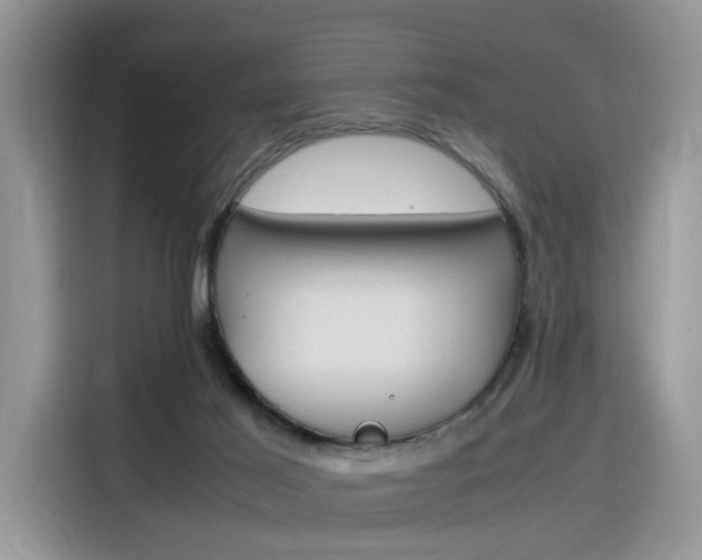 X0000116350021200912011047