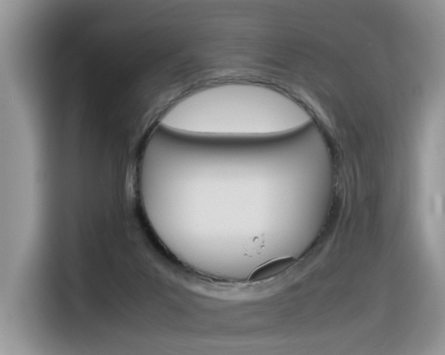X0000116350023200912011047